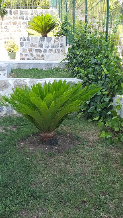 Villa Soleada Herceg Novi Eksteriør bilde